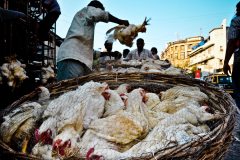 Mumbai Documentary Photography