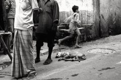 Kolkata Documentary Photography