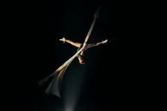 www.abhishekscaryia.com