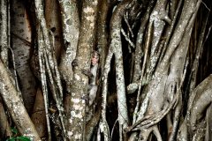 13.-DSC_1438_edit