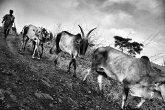 Irula Documentary Photography