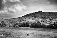 Irula Documentary Photography